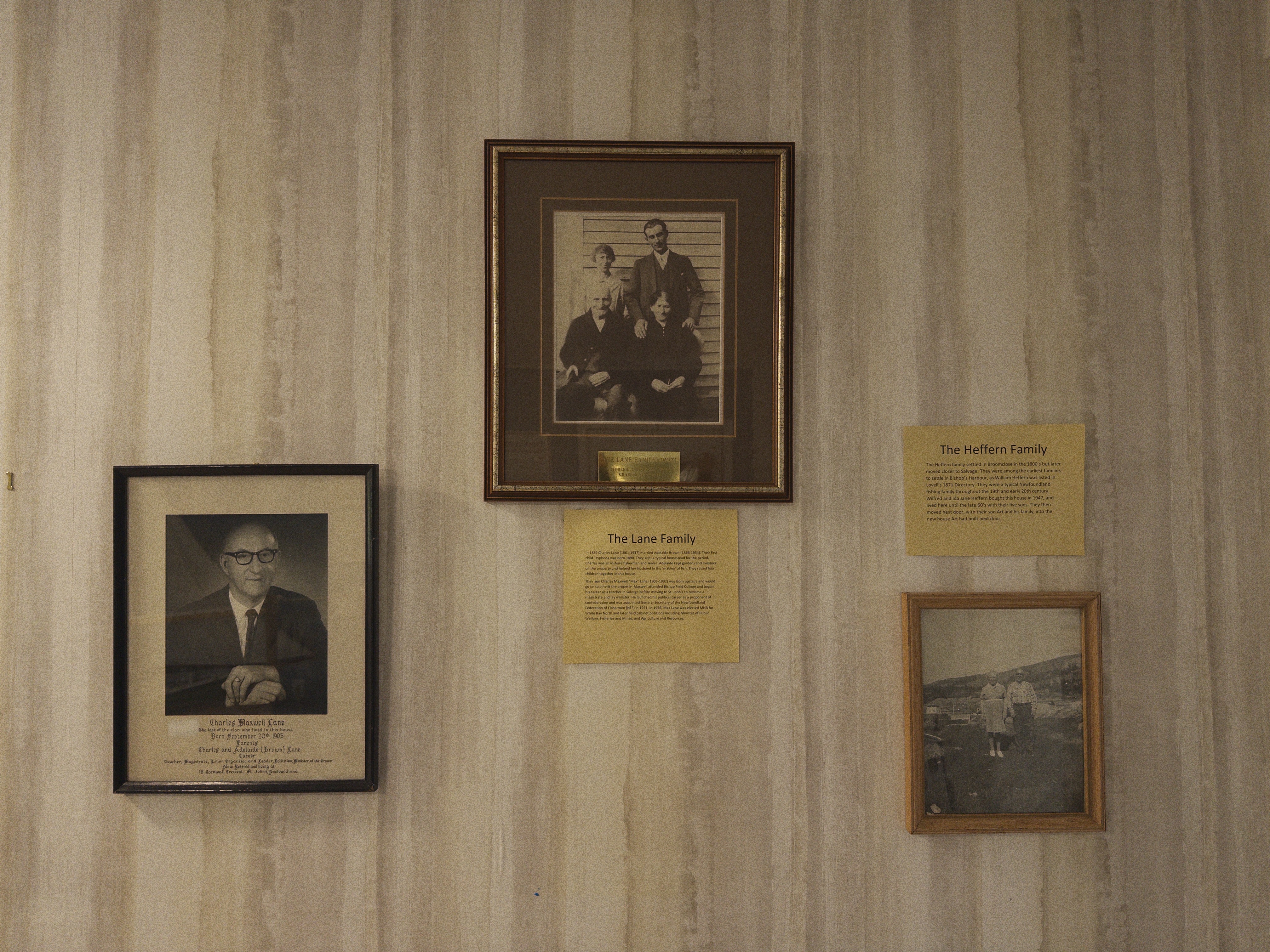 IMG 6024